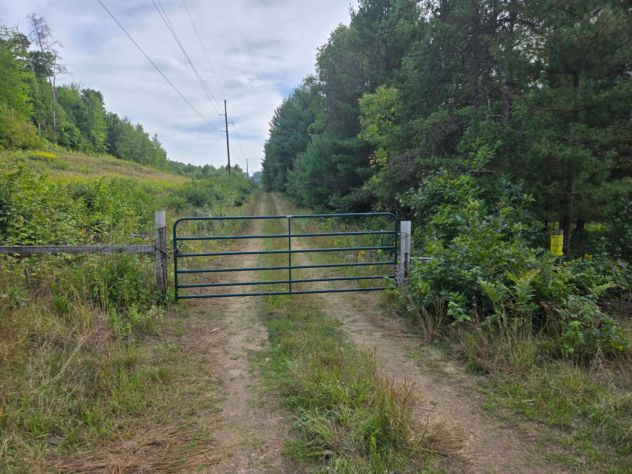Photo 19