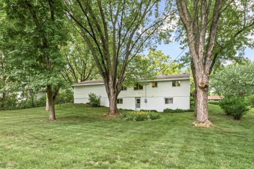 Gorgeous open huge back yard. Great variety of sun and shade from mature trees.