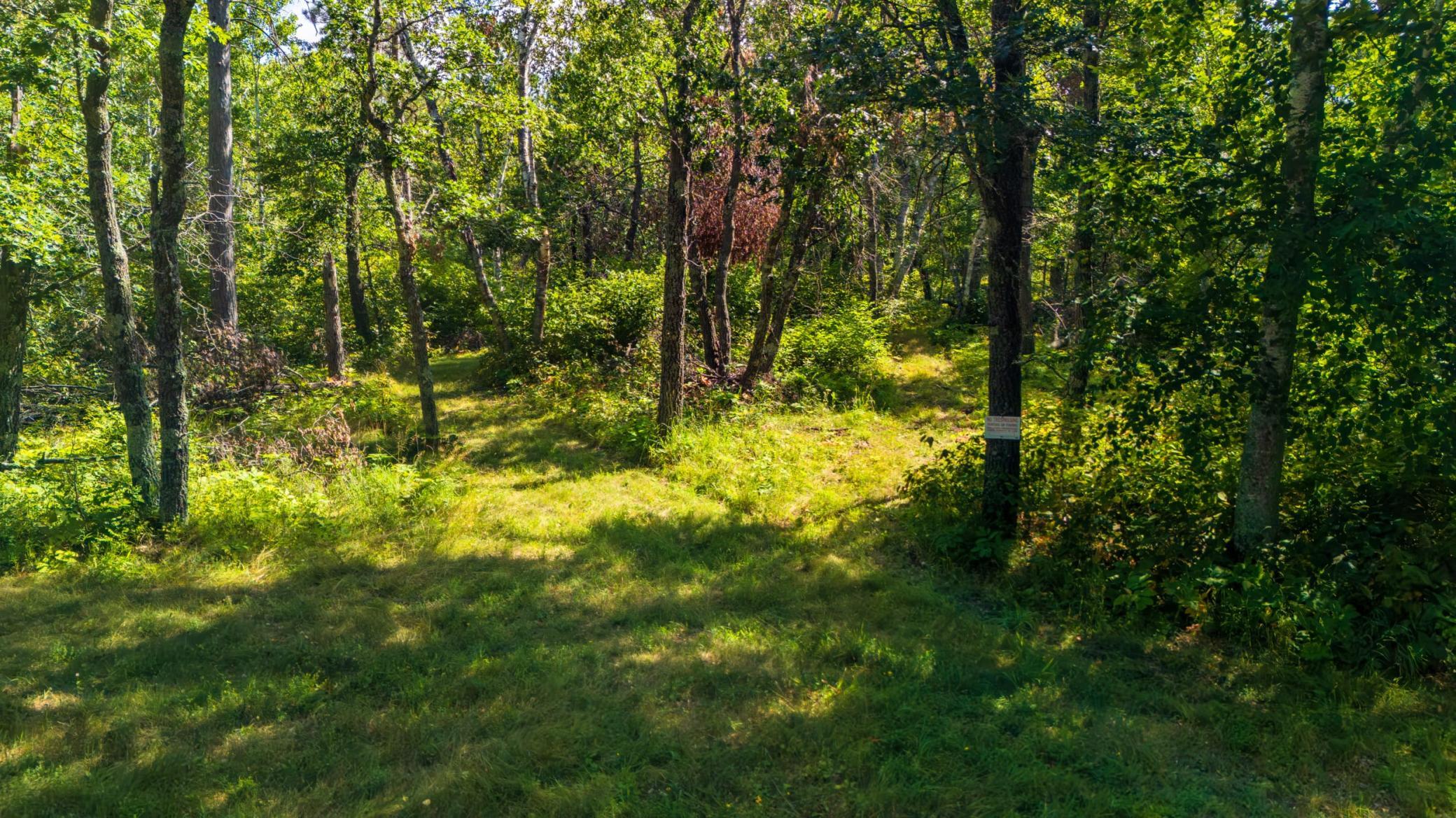 Trail - Lot 8.jpeg