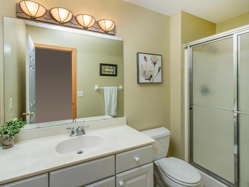 Lower level 3/4 bathroom.