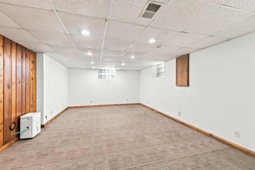 HUGE lower level family room with great lighting.