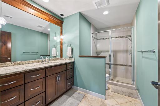 The downstairs bath has a walk in shower.