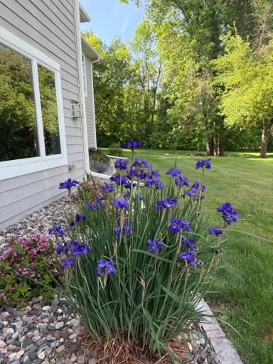 Landscaping blooms.