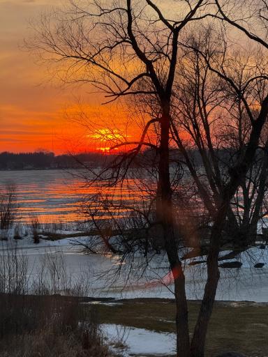 Beautiful in every season.