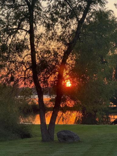 Sunset views!