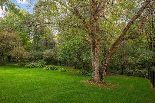 One of the highlights of this home is the beautiful, fully fenced backyard surrounded by mature trees and established landscaping. The lush lawn and wooded backdrop create a wonderfully private setting with plenty of room to enjoy the outdoors.