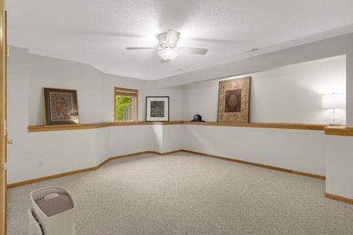 Generously sized lower-level Bedroom with a Walk-In Closetâplenty of room for a larger bed, furniture and storage.