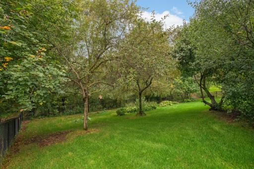 Mature trees create a beautiful backdrop for the backyard with plenty of green space to enjoy.