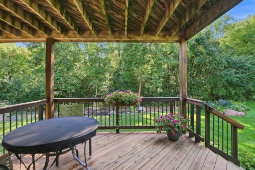 Privacy and nature views! Lower level deck- very private