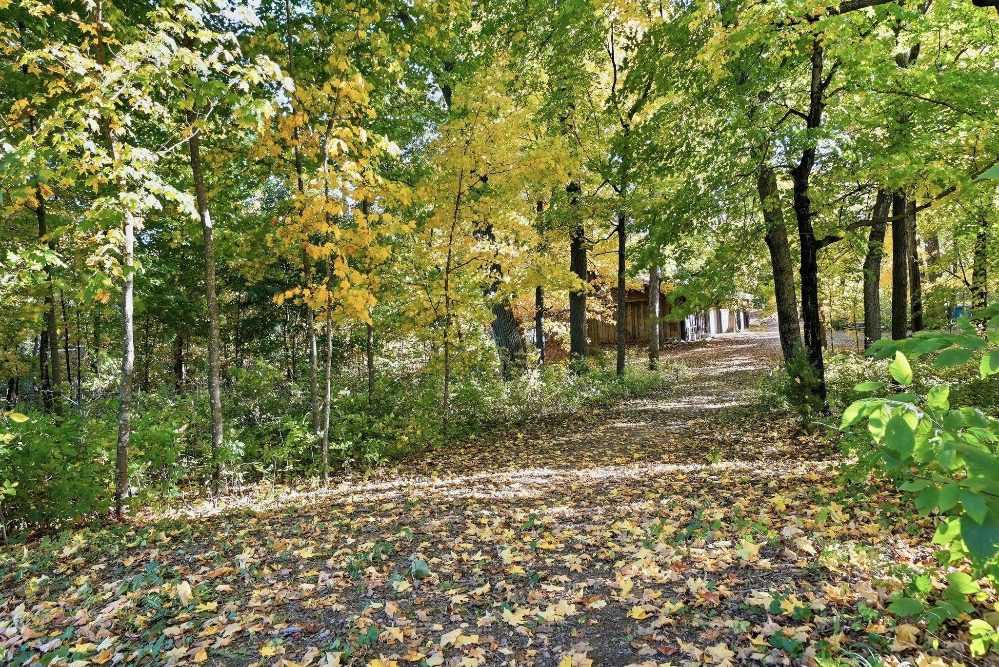 55.jpg