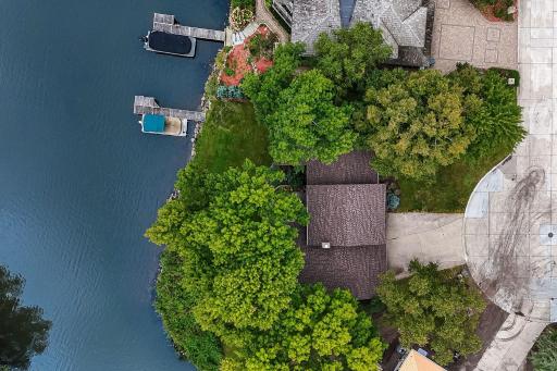 Overhead view with mature trees and an expansive shoreline