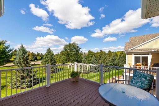 1430 Palisade Path, Woodbury, MN 55129
