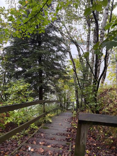 stairway to the lake