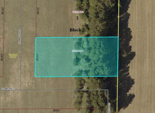TBD Lot 1 Thompson St, Park Rapids, MN 56470