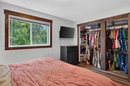 Closet in the lower level bedroom.