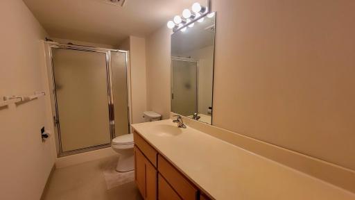 Lower level bath