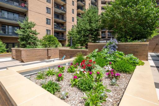 Beautifully maintained garden planters throughout the common outdoor patio.