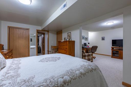 Lower level den/office