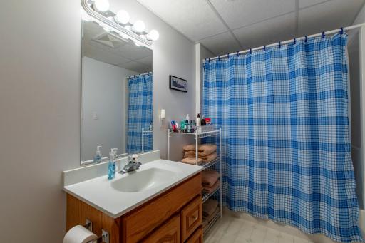 Lower level full bath
