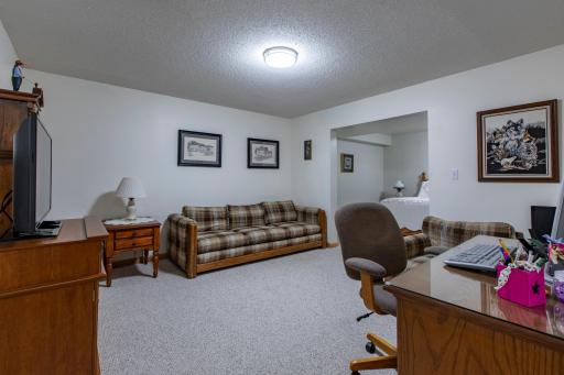 Lower level living area