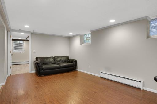 Lower level living room