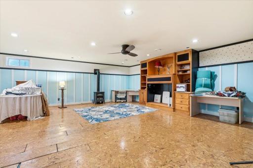 Lower Level Rec Room - Lots of Uses
