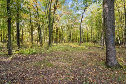 25261 Maple Tree Lane, Pine City, MN 55063