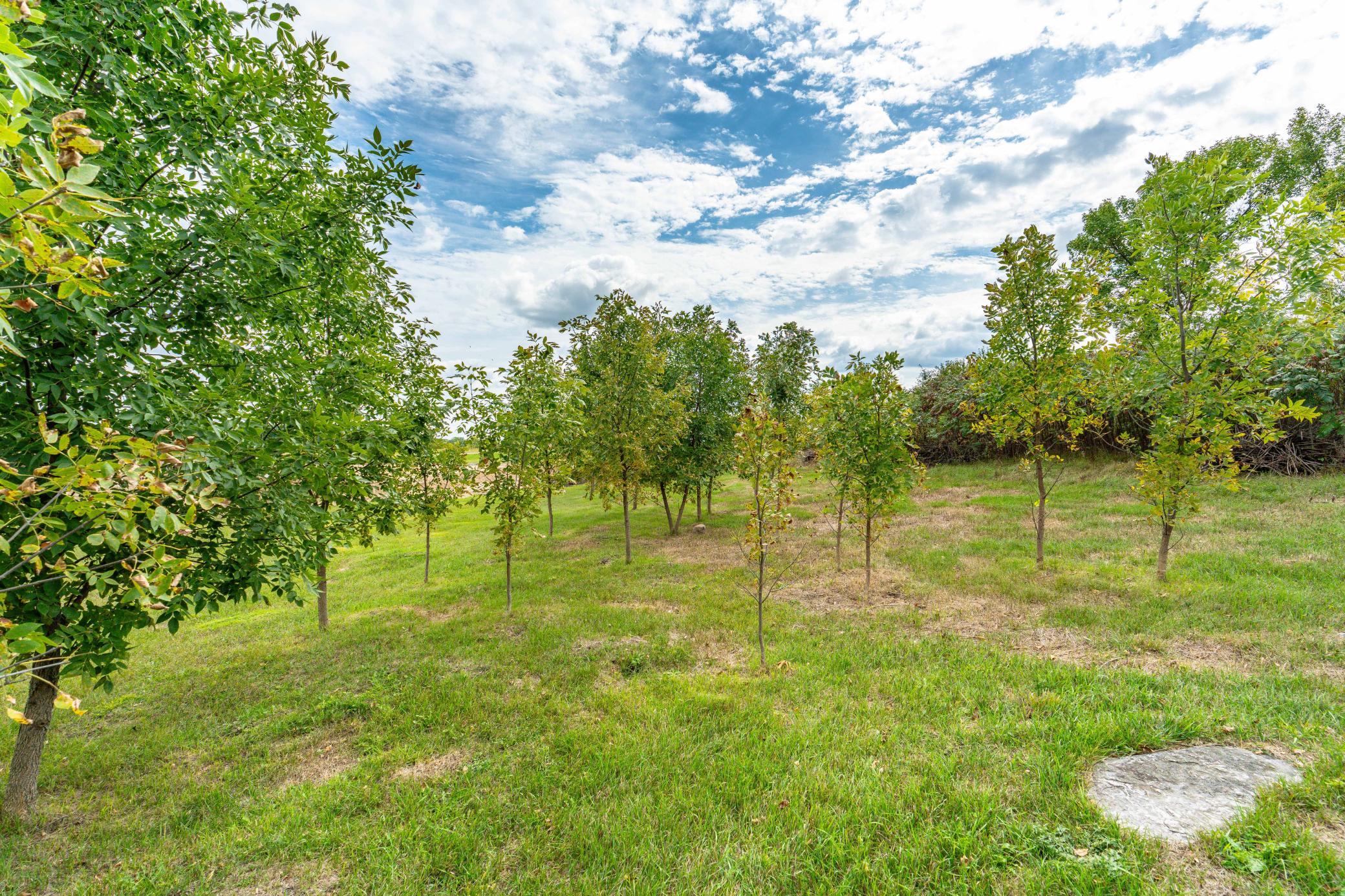 3520 Scenic Drive