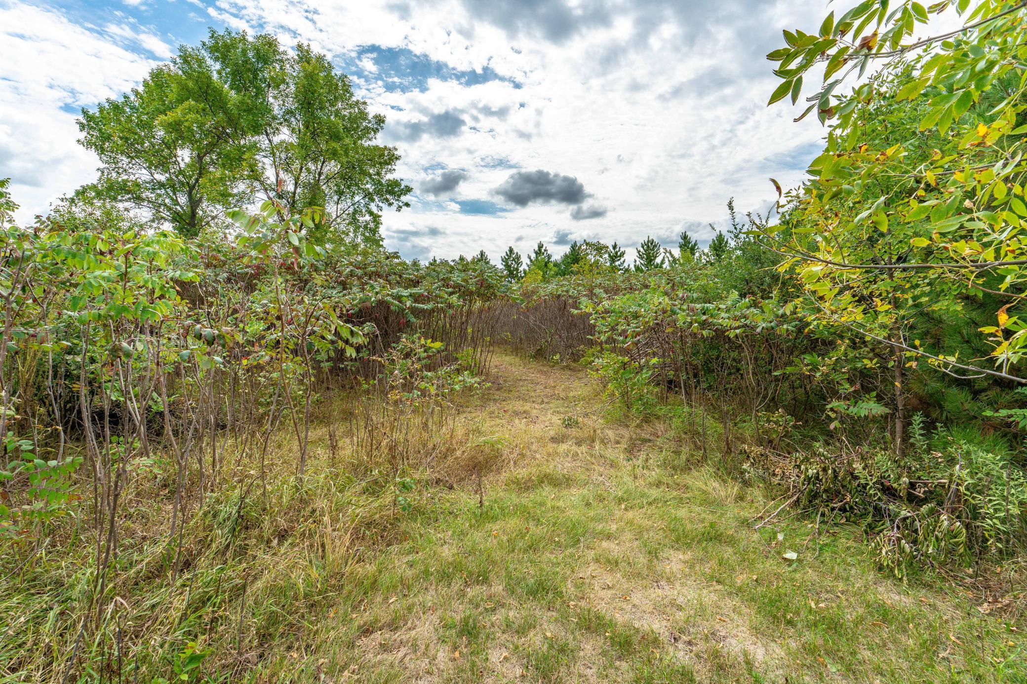 3520 Scenic Drive
