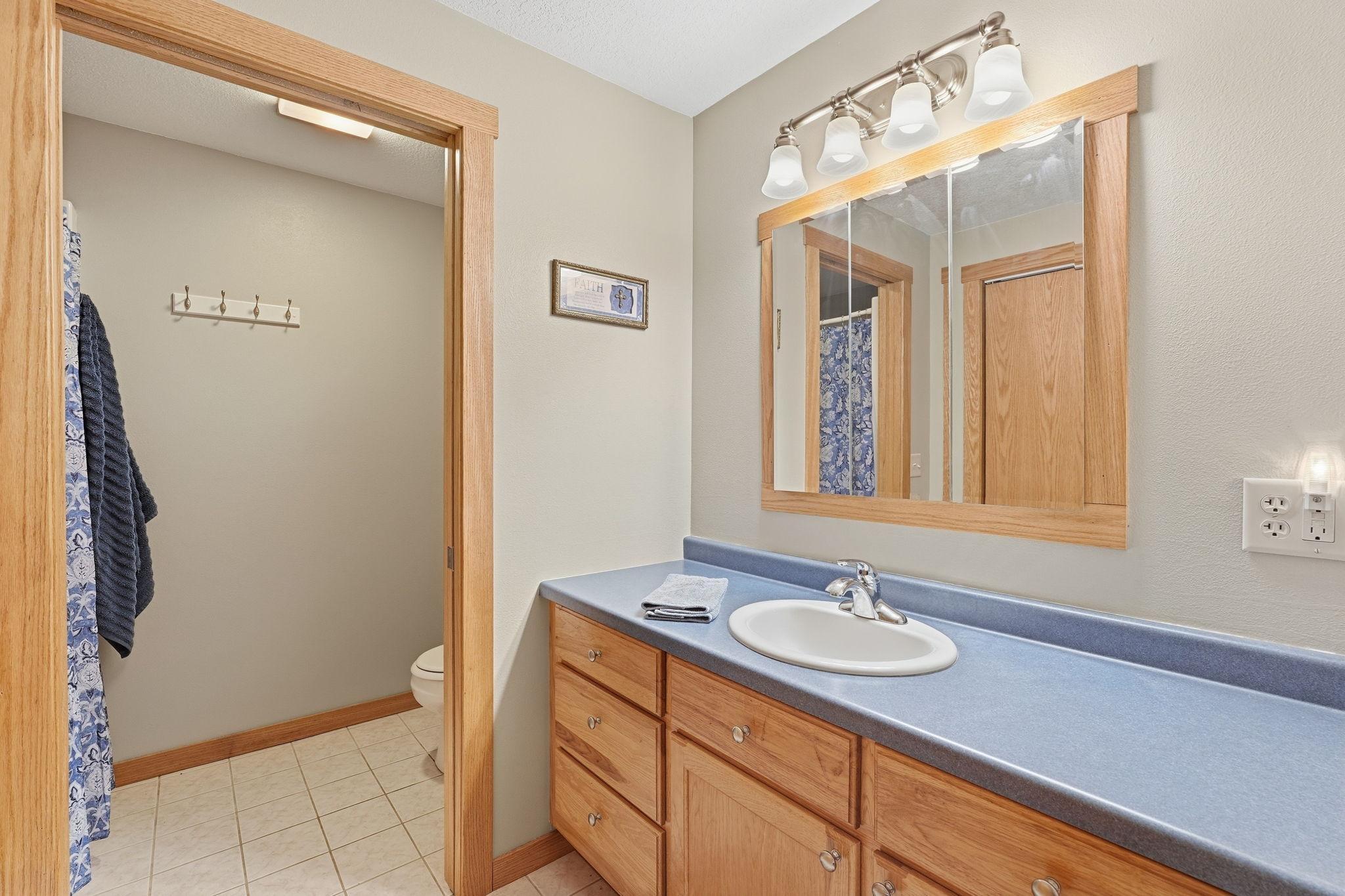 Lower Level Bath