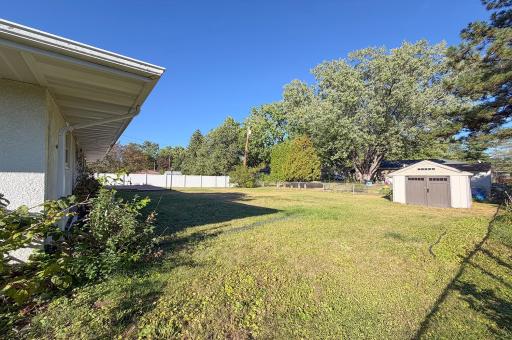 Backyard & Shed