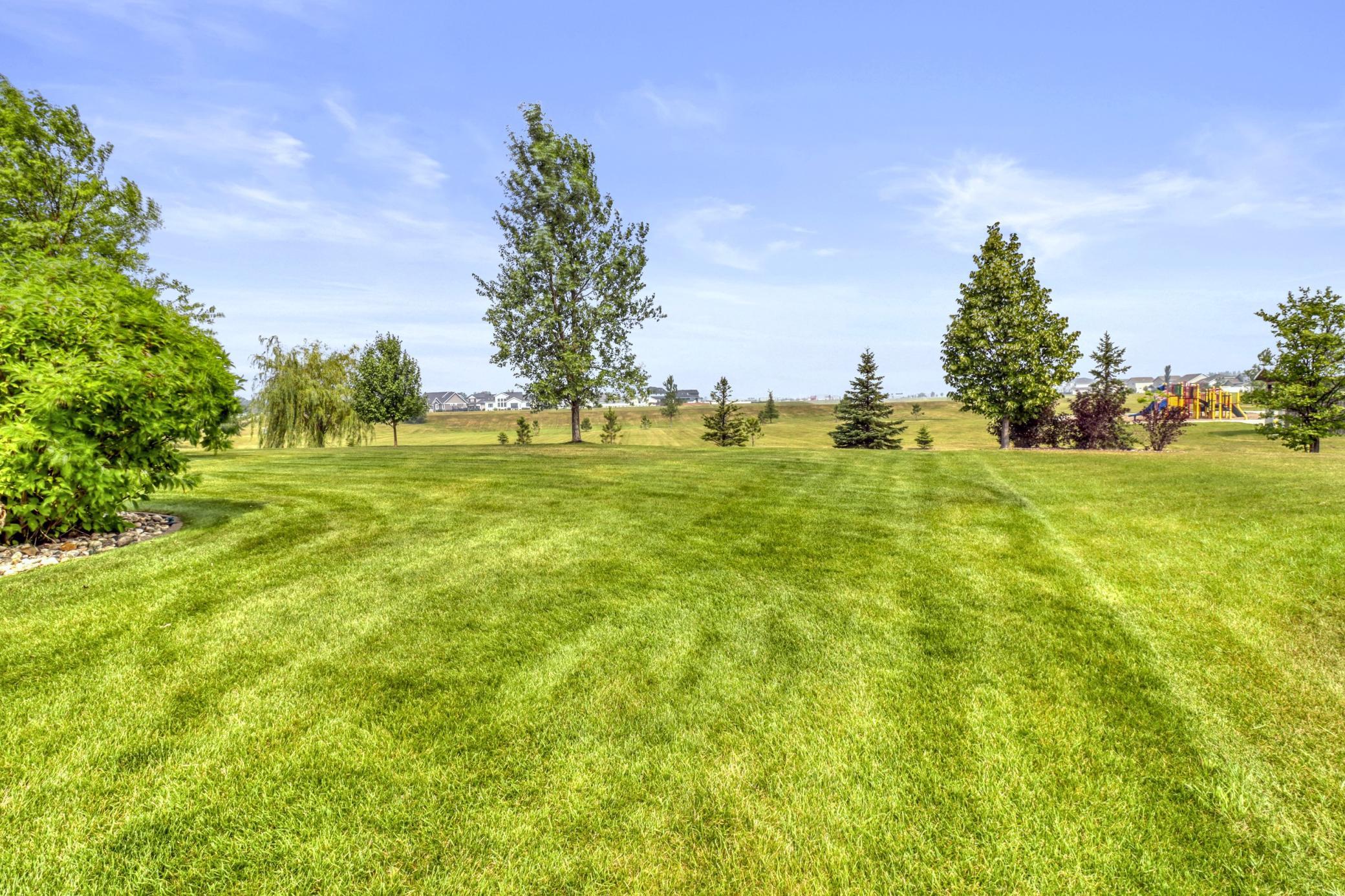 Backyard1_1.JPG