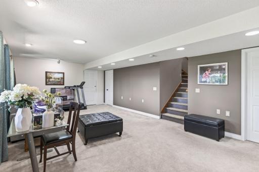Lower level offers more living and entertaining space
