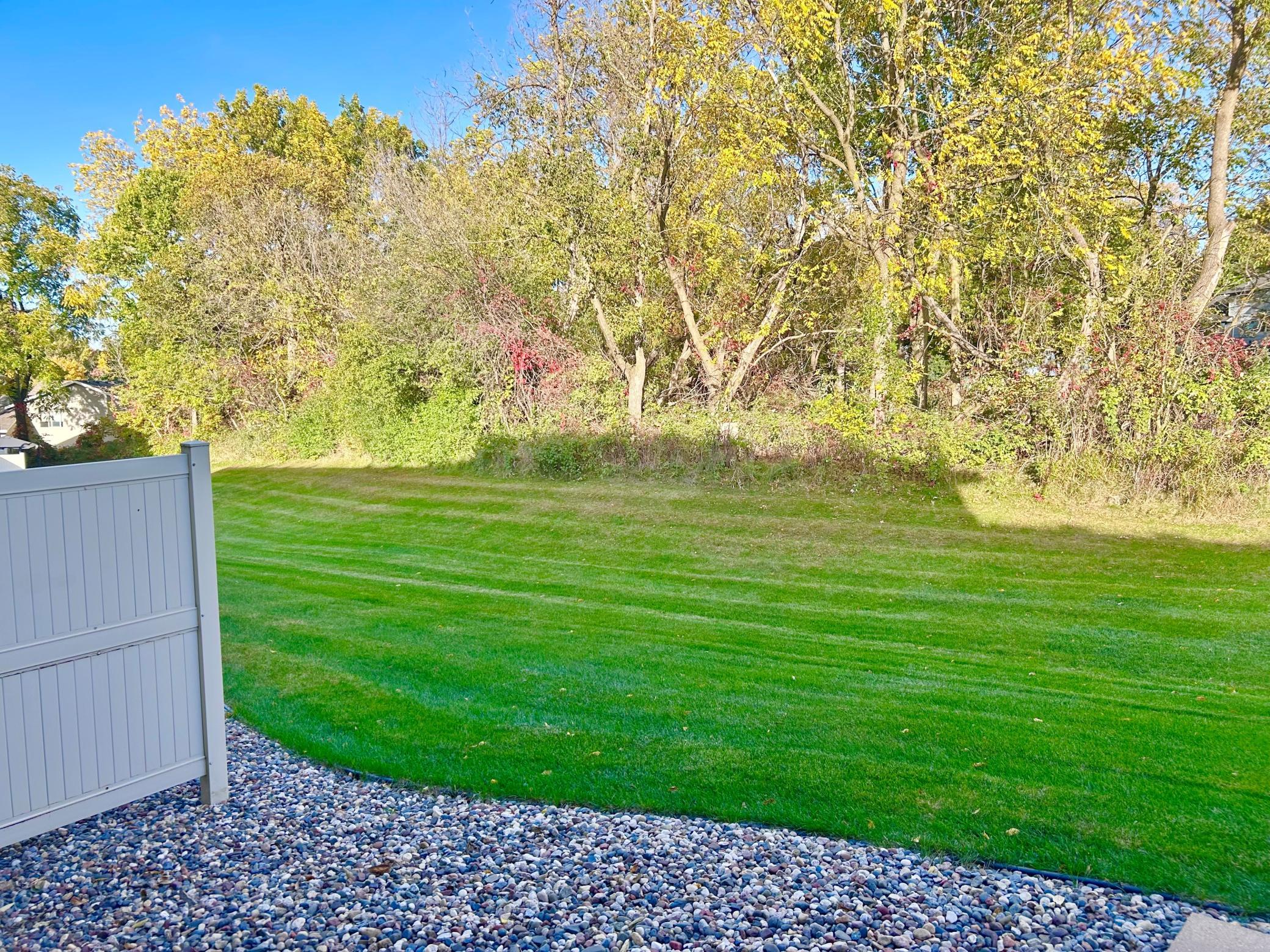 Grassy back area for play