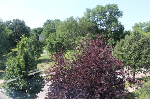3712 Wooddale Avenue S, 10, Saint Louis Park, MN 55416