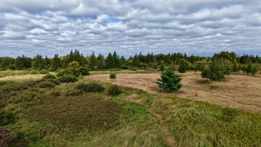 dji_fly_20260915_094742_0604_1789485147959_photo.jpeg