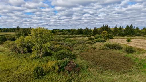 dji_fly_20260915_094752_0605_1789485147469_photo.jpeg