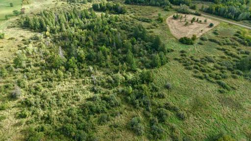 dji_fly_20260915_094614_0603_1789485148660_photo.jpeg
