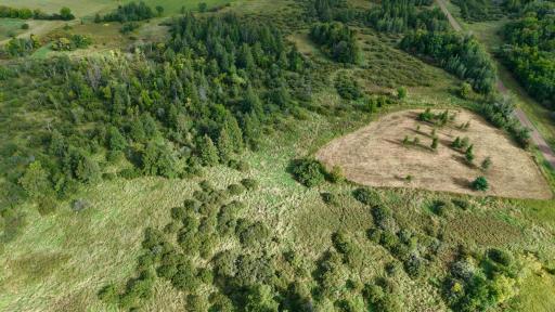 dji_fly_20260915_094532_0602_1789485149333_photo.jpeg