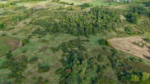 dji_fly_20260915_094300_0600_1789485150562_photo.jpeg