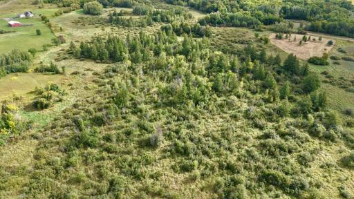 dji_fly_20260915_100850_0613_1789485142972_photo.jpeg