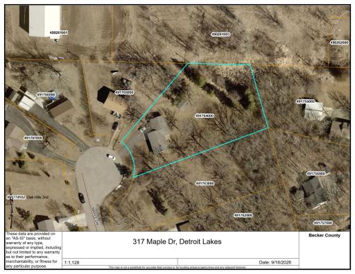 317 Maple Drive, Detroit Lakes, MN 56501