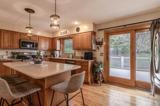 35425 Shakpays Cove Road, Kasota, MN 56050