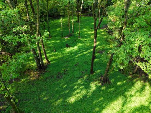 0000 17th St, Clear Lake, MN 55319