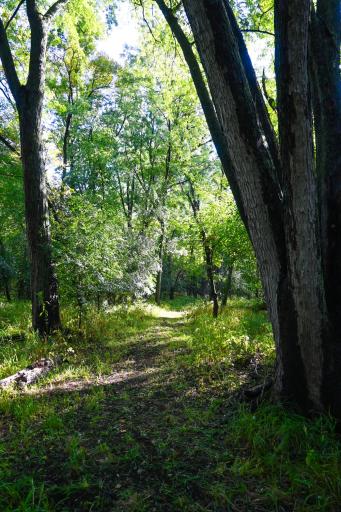 0000 17th St, Clear Lake, MN 55319