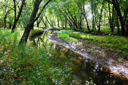 0000 17th St, Clear Lake, MN 55319