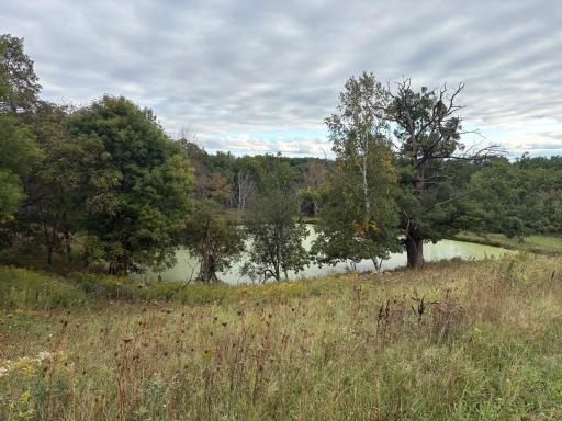 IMG_1280.jpeg