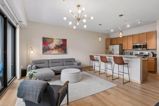 4525 Park Commons Drive, 202, Saint Louis Park, MN 55416