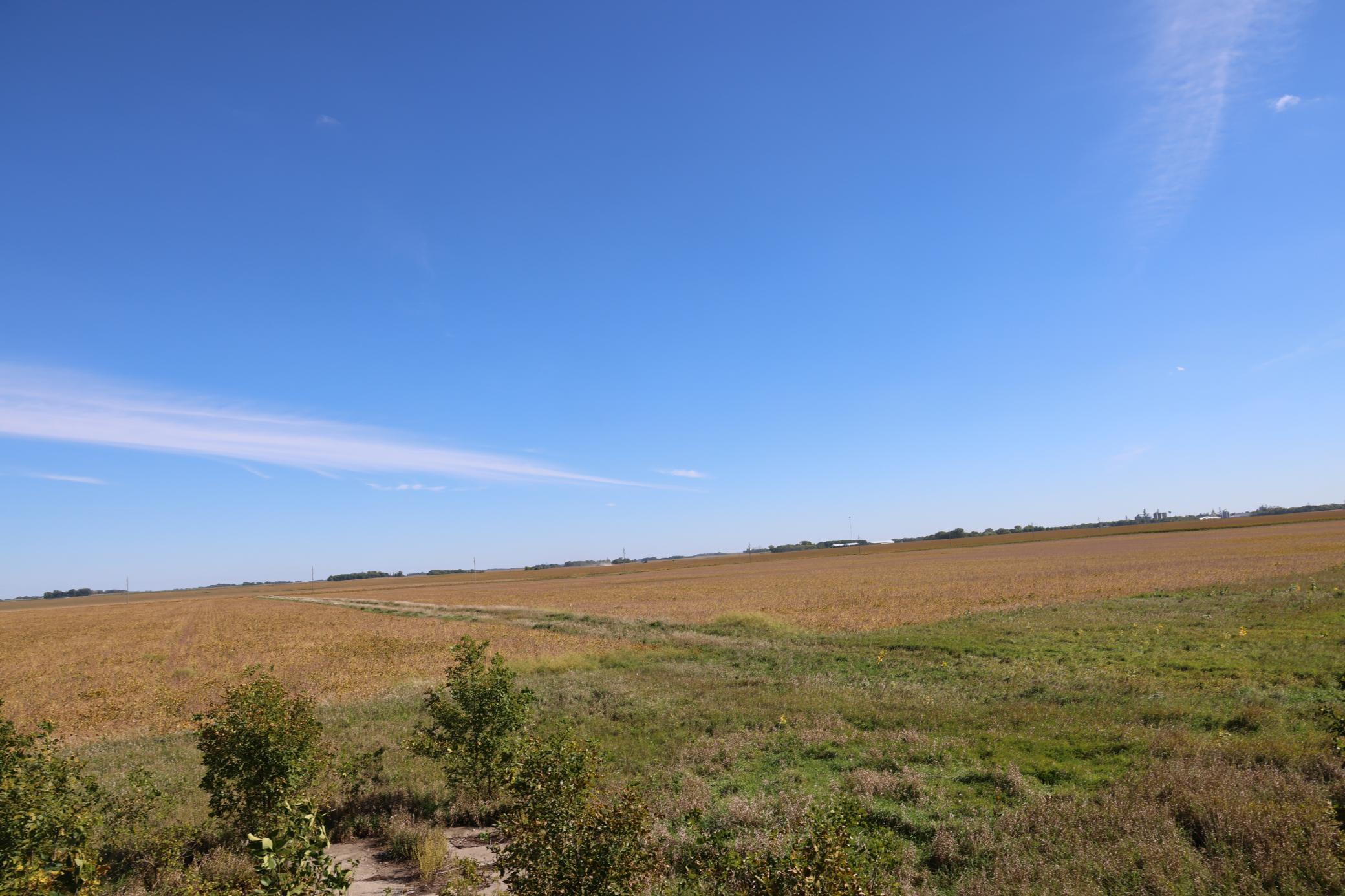 looking east