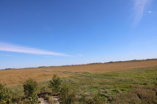 81893 470th Street, Hector, MN 55342
